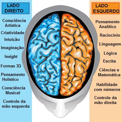 Neuroanatomia Fundamental – Áreas do cérebro e funcionalidades ...